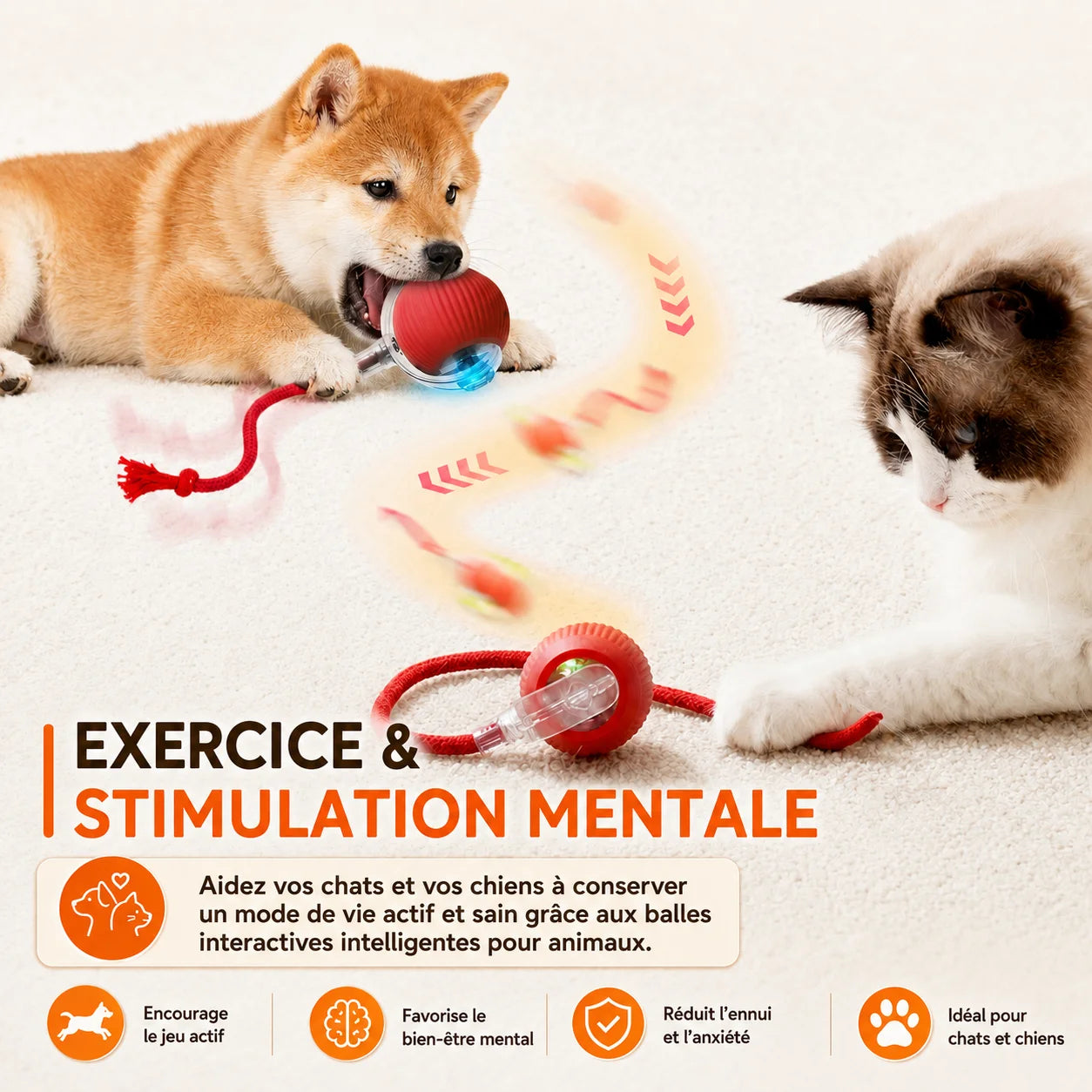 Balle Interactive Intelligente Rechargeable pour Chien