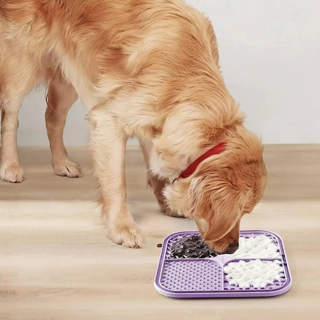 Tapis de léchage suspendu ( Anti ennui et alimentation lente)