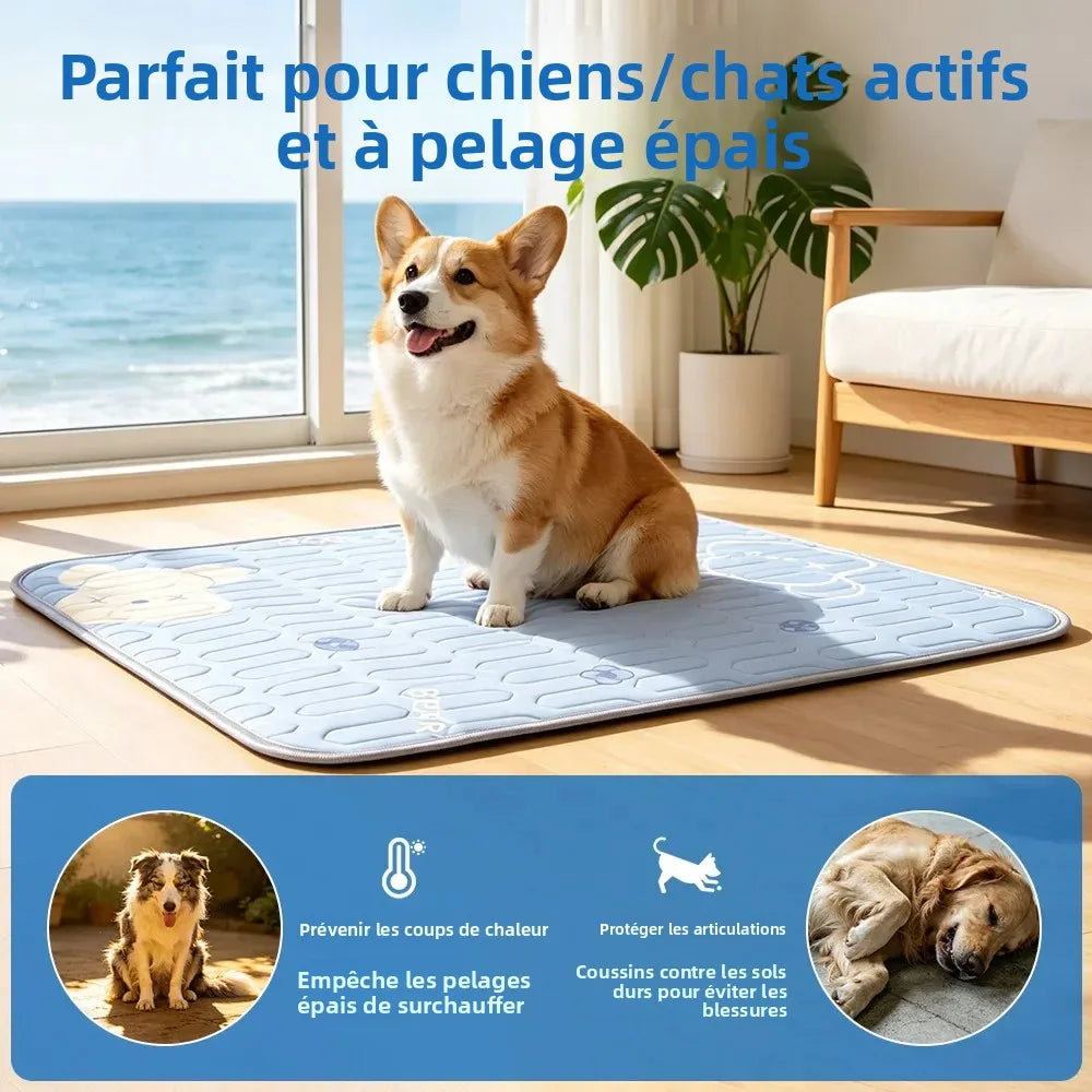 Tapis Rafraîchissant pour Chien et Chat - 3 Tailles | PATTESAGUA