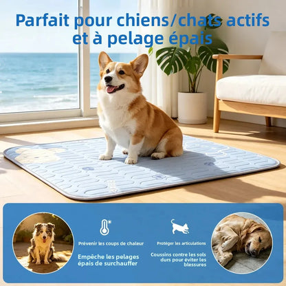 Tapis Rafraîchissant pour Chien et Chat - 3 Tailles | PATTESAGUA