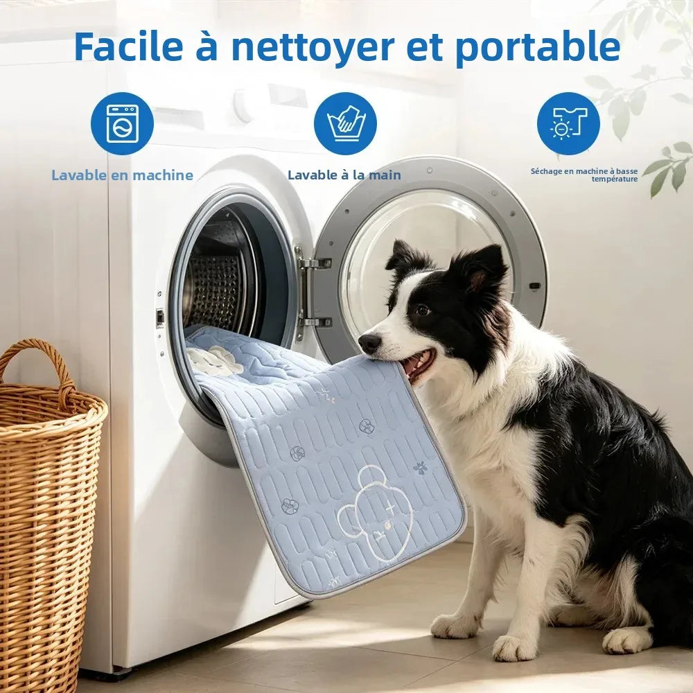 Tapis Rafraîchissant pour Chien et Chat - 3 Tailles | PATTESAGUA