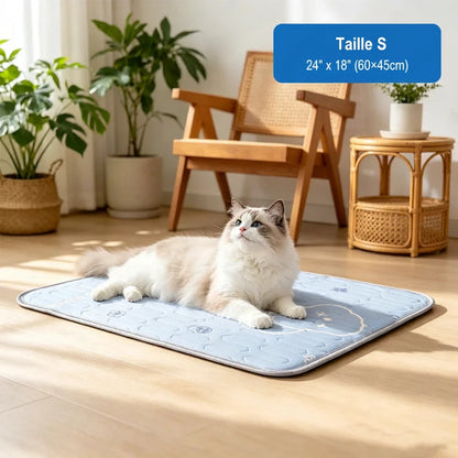 Tapis Rafraîchissant pour Chien et Chat - 3 Tailles | PATTESAGUA