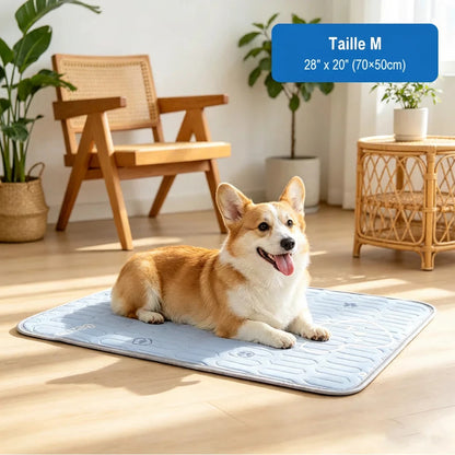 Tapis Rafraîchissant pour Chien et Chat - 3 Tailles | PATTESAGUA