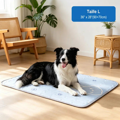Tapis Rafraîchissant pour Chien et Chat - 3 Tailles | PATTESAGUA